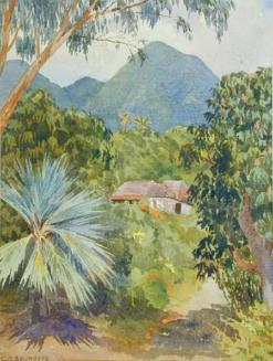 Untitled (tropical forest with house)