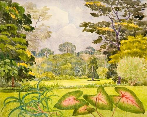 Untitled (tropical landscape with caladium)