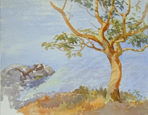 Untitled (large tree, rocks, water)