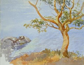 Untitled (large tree, rocks, water)