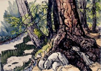 Untitled (tree roots and rocks)
