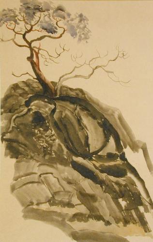 Untitled (tree on hill)