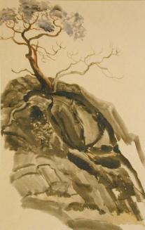 Untitled (tree on hill)