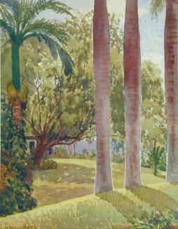 Royal Palm Boles