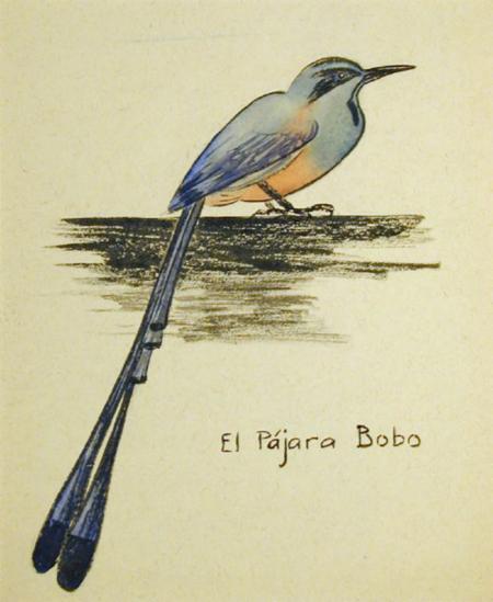 El Pajara Bobo