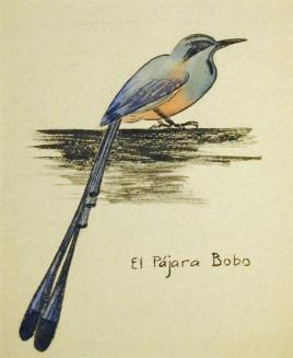El Pajara Bobo