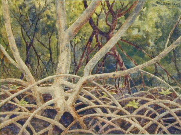 Mangrove Swamp