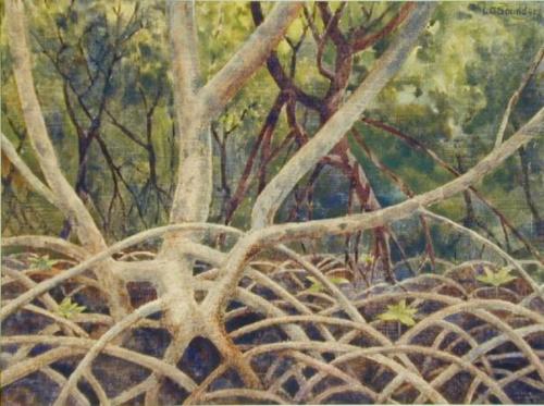 Mangrove Swamp