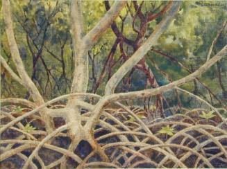 Mangrove Swamp