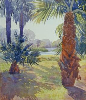 Palms and Sunshine