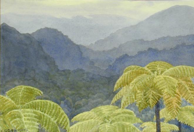 The Wet Hills of Dominica