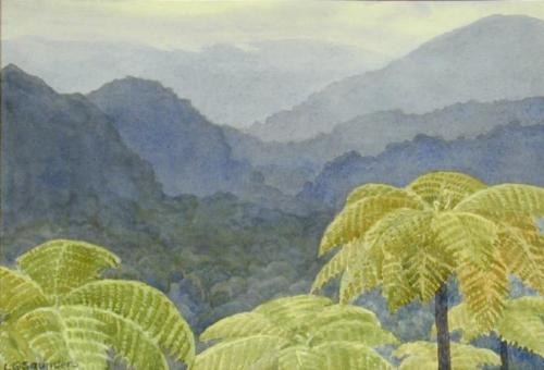 The Wet Hills of Dominica