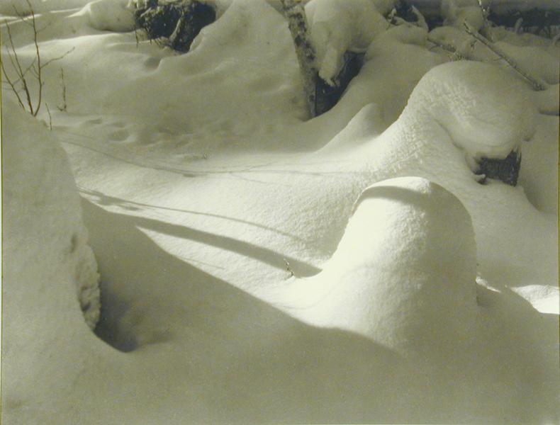 Deep in the Winter Woods