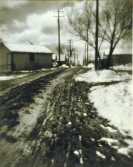 Winter's Aftermath