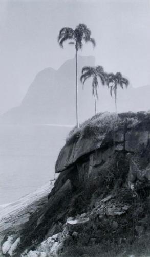 Sentinels