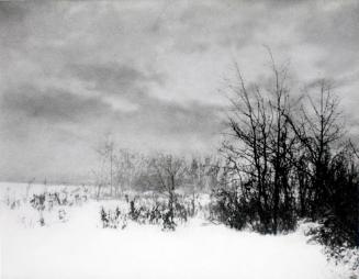 Prairie Blizzard