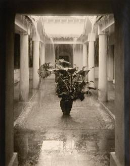 Rain in the Patio