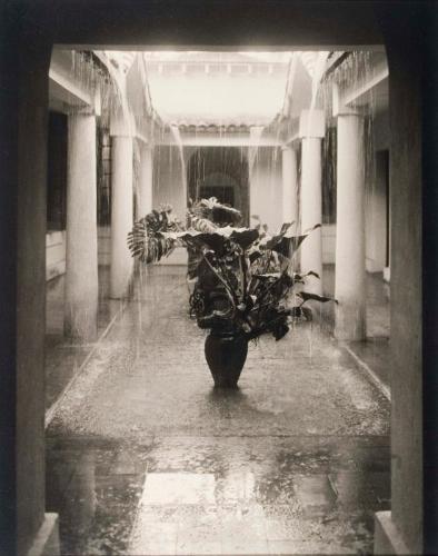 Rain in the Patio