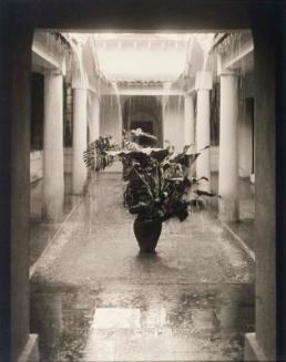 Rain in the Patio