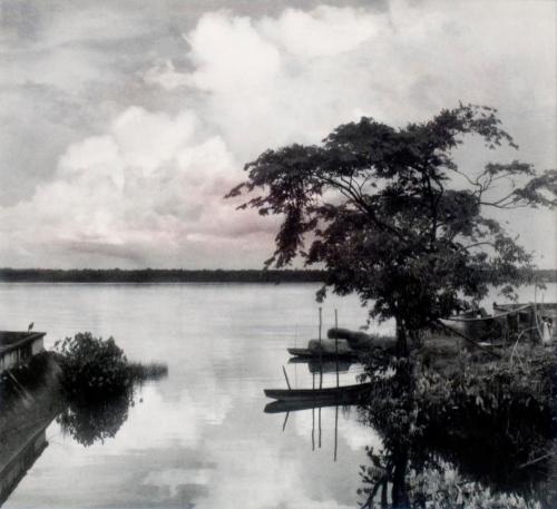 On the Bank of the Essequibo