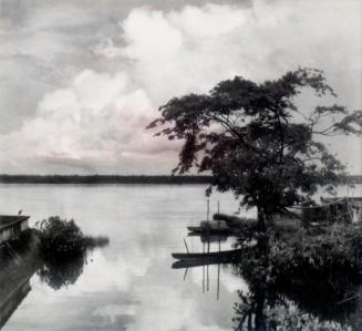 On the Bank of the Essequibo