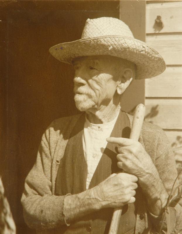 Untitled (portrait of an old man)