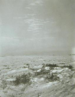 Winter on the Prairie