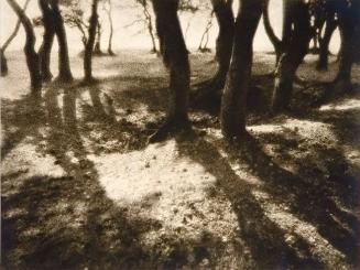 Goblins' Grove