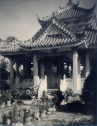 Blue Tiles and Chrysanthemums