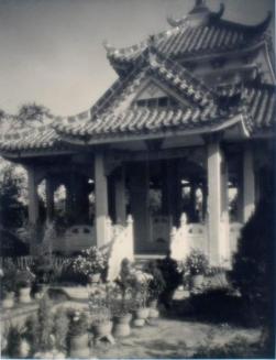 Blue Tiles and Chrysanthemums