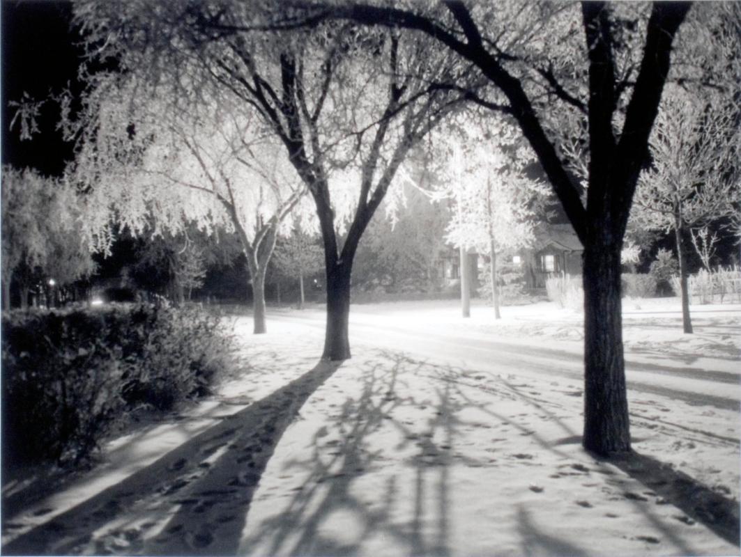 Shadows on Boulevard