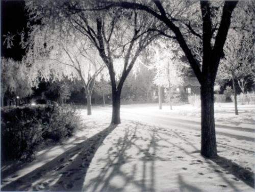 Shadows on Boulevard