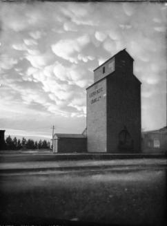 Cumulus mammatus