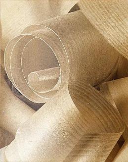 Shavings