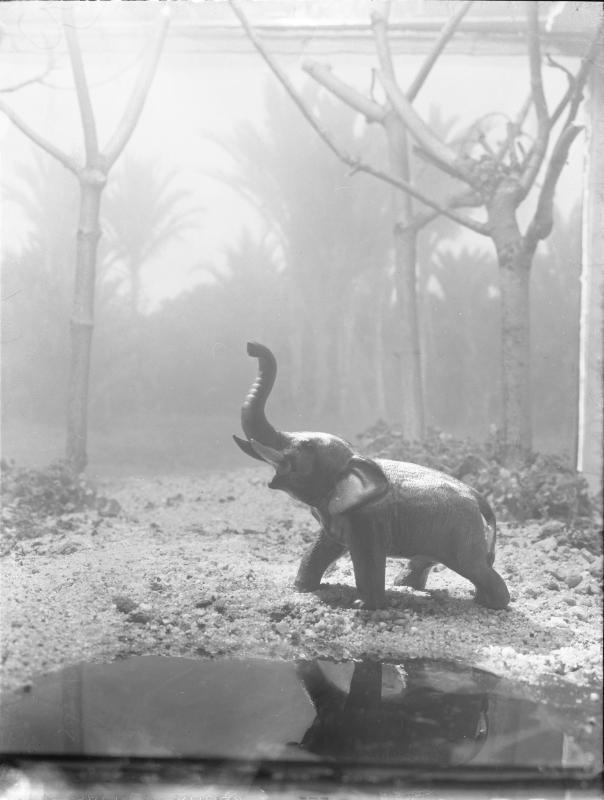 Elephant Tabletop