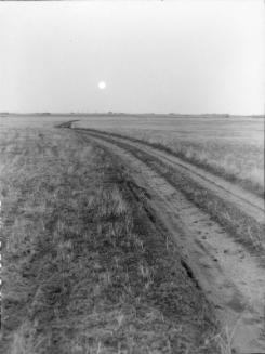Prairie Moon