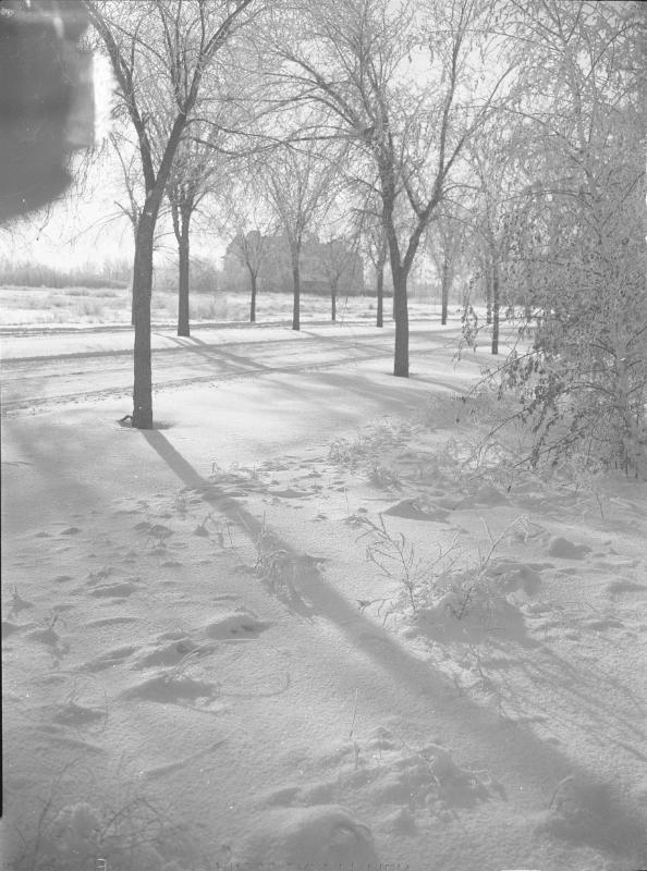 Winter Sunshine (Emmanuel College)