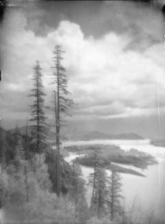 Islands in the Fraser