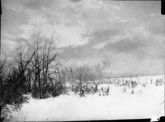 After the Blizzard