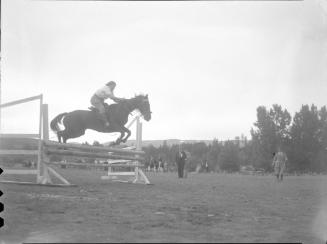 Untitled (equestrian jumping hurdle)