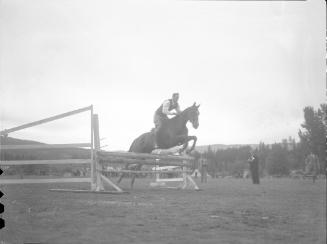 Untitled (equestrian jumping hurdle)