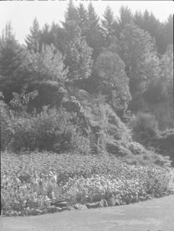 Untitled (flower garden and steps up a hill)