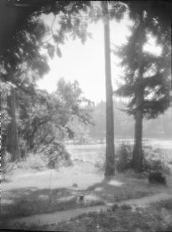Untitled (view of lake from park)
