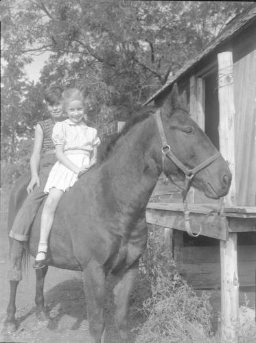 Untitled (children mounted on a horse)
