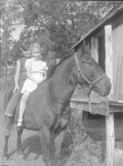 Untitled (children mounted on a horse)