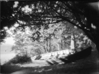 Untitled (rowboat secluded among the trees)