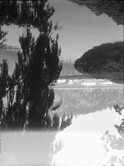Untitled (docked boats viewed from shore)