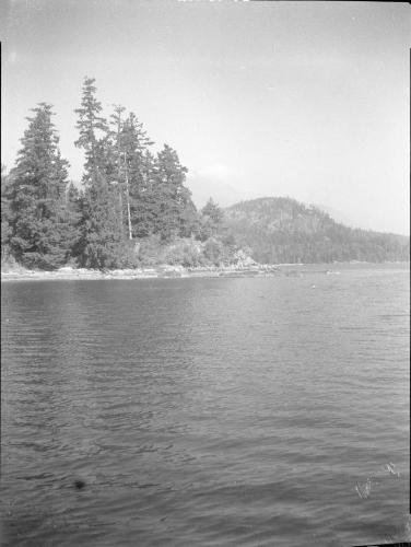 Untitled (tree-covered island with distant hills)