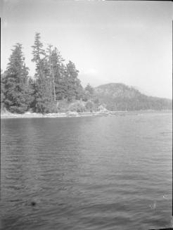 Untitled (tree-covered island with distant hills)