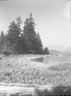 Untitled (rocky shore with fir trees)